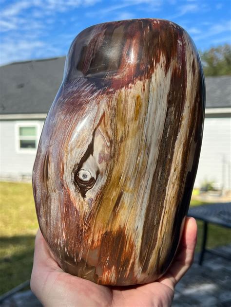Polished Petrified Wood Fossil From Madagascar 15lbs 6oz Freeform Self ...