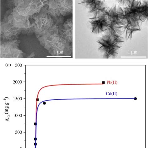 Image result for Compression Graph of Heavy Metal Adsorption