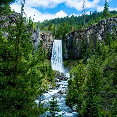 12 Best Oregon Waterfall Hikes That'll Take Your Breath Away
