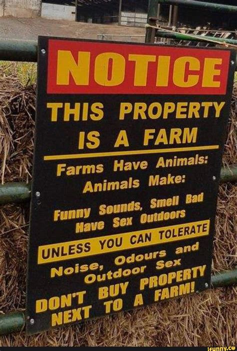 Video memes lFBFS4JZA by AggressiveKeanu - iFunny