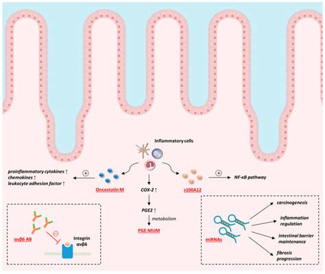 Biomedicines | Special Issue : Molecular Biomarkers in Inflammatory ...