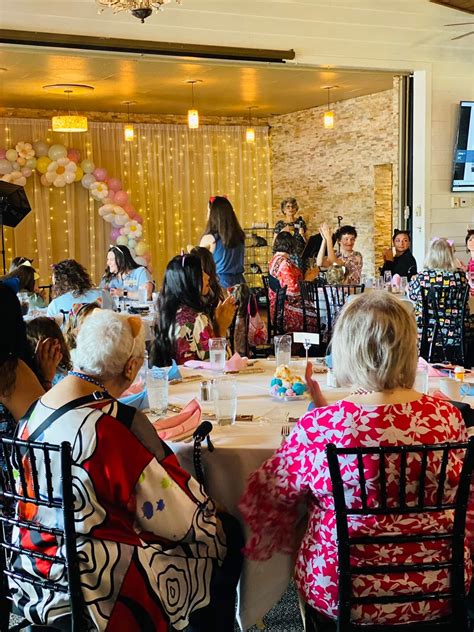 Family-Friendly Kitten Shower | Kokomo Humane Society