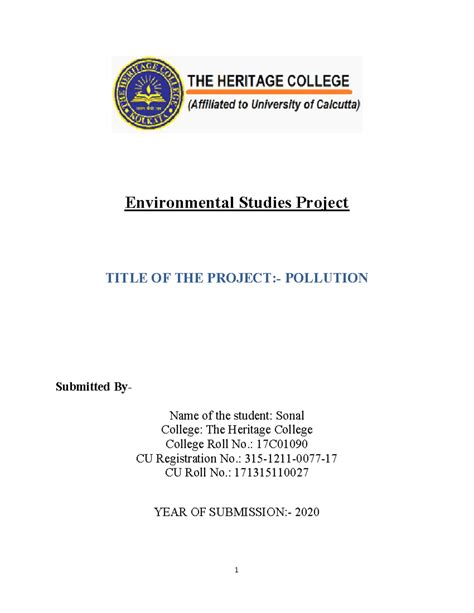 EVS 2020 Project: Understanding Environmental Pollution by Sonal - Studocu