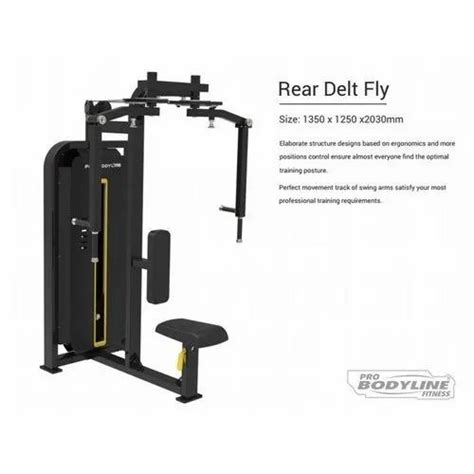 Image result for Back Fly Machine