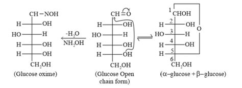 NCERT Solutions for Class 12 Chemistry Chapter 14 Biomolecules PDF - eSaral