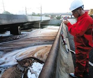 【专题突破】原油泄漏对海洋生物的影响（附全球十大原油泄漏事故）_石油