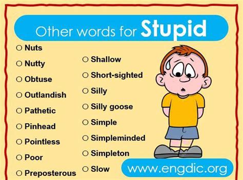 500+ Other Words for Stupid, Synonyms of Stupid - EngDic