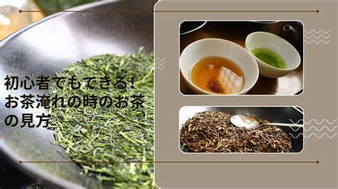 初心者でもできる！お茶淹れの時のお茶の見方、二煎目以降も迷わず淹れる
