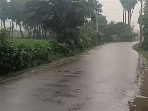 farmers in bhagalpur get sigh of relief from humidity rain reduces ...