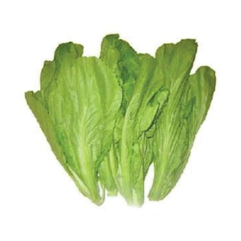 Mustasa | 250g - GoodFinds Ph