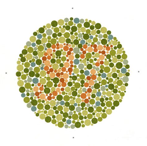 Ishihara Color Vision Testing 的图像结果