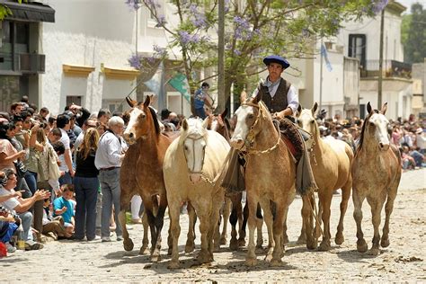 ARECO TRADICION - All You Need to Know BEFORE You Go 2026 (with Photos ...