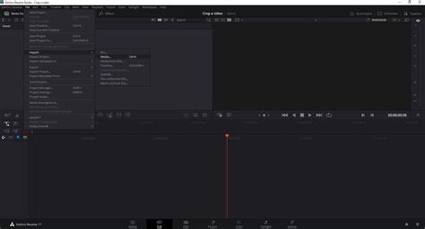 DaVinci Resolve Cropping 的图像结果