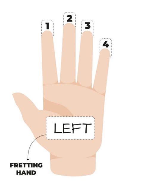 Image result for Basic Chords. For Ukulele