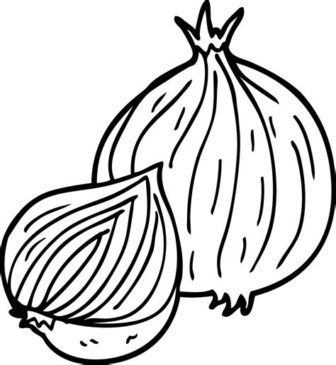 line drawing cartoon onion 12146037 Vector Art at Vecteezy