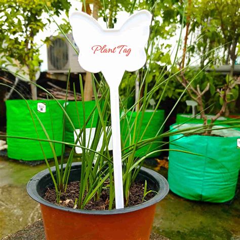 OrganicBazar - Buy Seeds, Grow Bag, and Organic Fertilizer Online