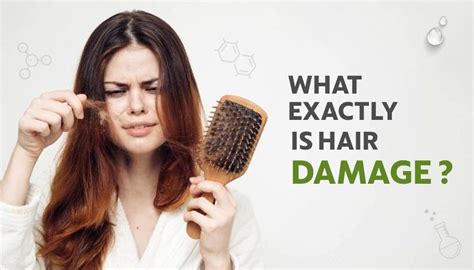 What Exactly Is Hair Damage? Causes, Signs & Prevention – Indus Valley
