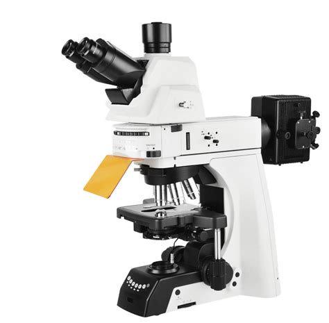 正置荧光显微镜-深圳市博视达光学仪器有限公司