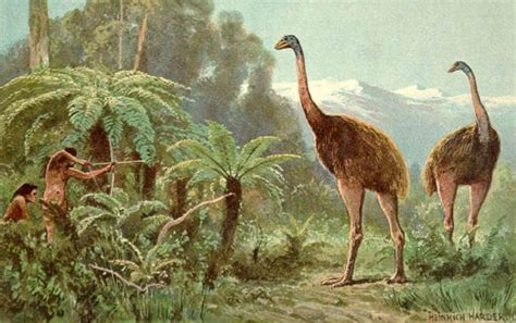 恐鹤称霸南美草原几百万年，它的秘诀是什么