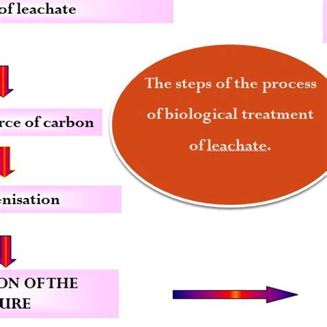 Biotechnical Process 的图像结果