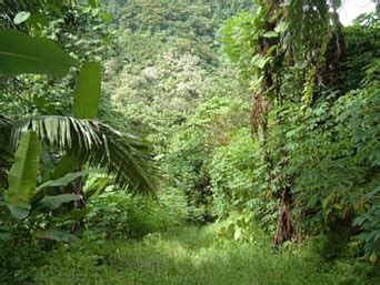 1974-Part Five-PIXIE DUST AND SHRAPNEL (UNCERTAIN PARADISE: 1974 Book 5 ...