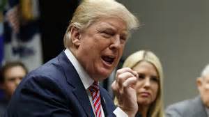 Trump Rebukes MAGA Attacking Pam Bondi Over Epstein Files