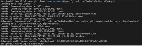Image result for Redis JSON