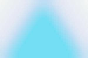 Drug-Riddled Rugs : Dan Golden