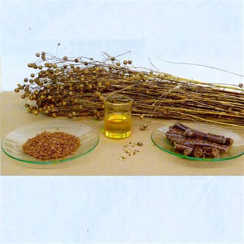 Image result for How to Polymerized Linseed