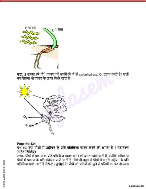 Chapter 8 Class 10th Science 的图像结果