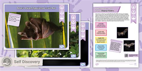 Halloween Bats Photos Play Prompt Pack (teacher made)