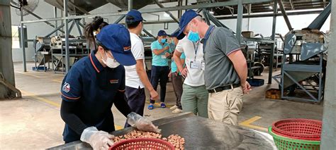 Organic Cashew Nut Processing Best Practices