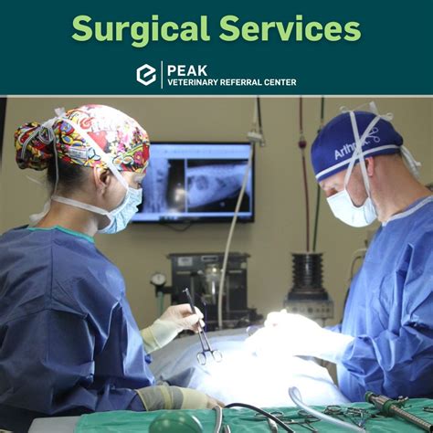 Peak Veterinary Referral Center (@peak.veterinary) • Instagram photos ...