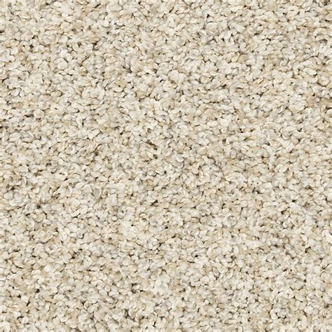 STAINMASTER (Sample) Legion Lake I Highway Off-white 40-oz sq yard ...