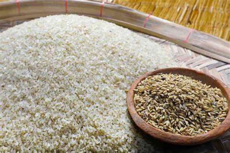 Kolkata chefs and restauranteurs are adding Bengali rice varieties in ...