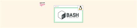 Image result for Bash Unix Shell