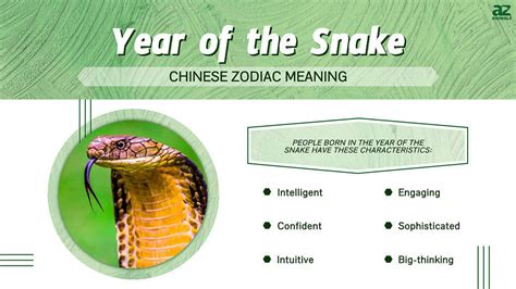 Year of the Snake: Chinese Zodiac Meaning and Years - A-Z Animals