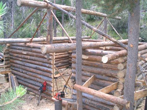 Log Cabin Building Process 的图像结果