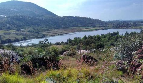 MayaVadi Organic Farm Near Nandi Hills - Best Farm Stays In Bangalore ...