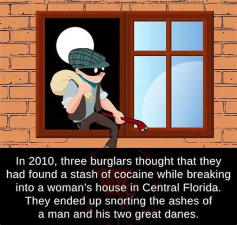 Image result for Random Easy Facts