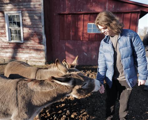 B One - 1 - Bedlam Farm