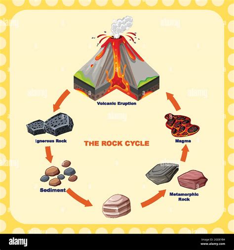 Diagram showing rock cycle illustration Stock Vector Image & Art - Alamy