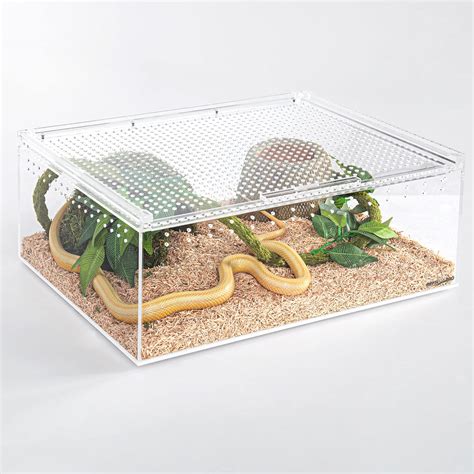 Buy REPTI ZOO Magnetic Acrylic Enclosure, 16x12x6 Inch 5 Gallon Reptile ...