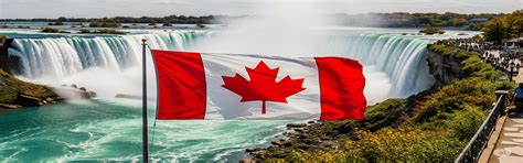 Best Overseas Education Consultant For Canada In Delhi – Aravali Edu Globe