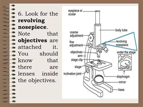 Microscope Example Slide 的图像结果