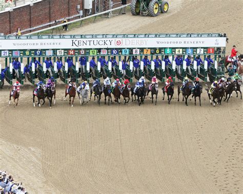 How Mucciolo is betting the 2024 Kentucky Derby | TwinSpires