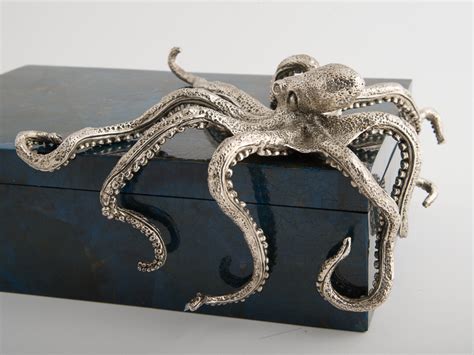 Image result for Octopus Software Box