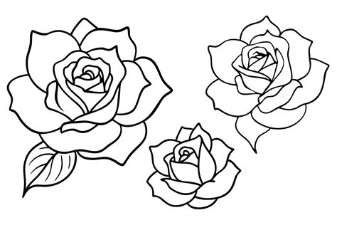 Premium Vector | Delicate Rose Line Art Fine Linework Floral Masterpiece