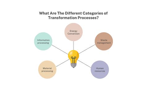 Transformation Process 的图像结果