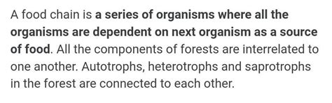 Explain the food chainGrain Rat Snake Hawk - Brainly.in